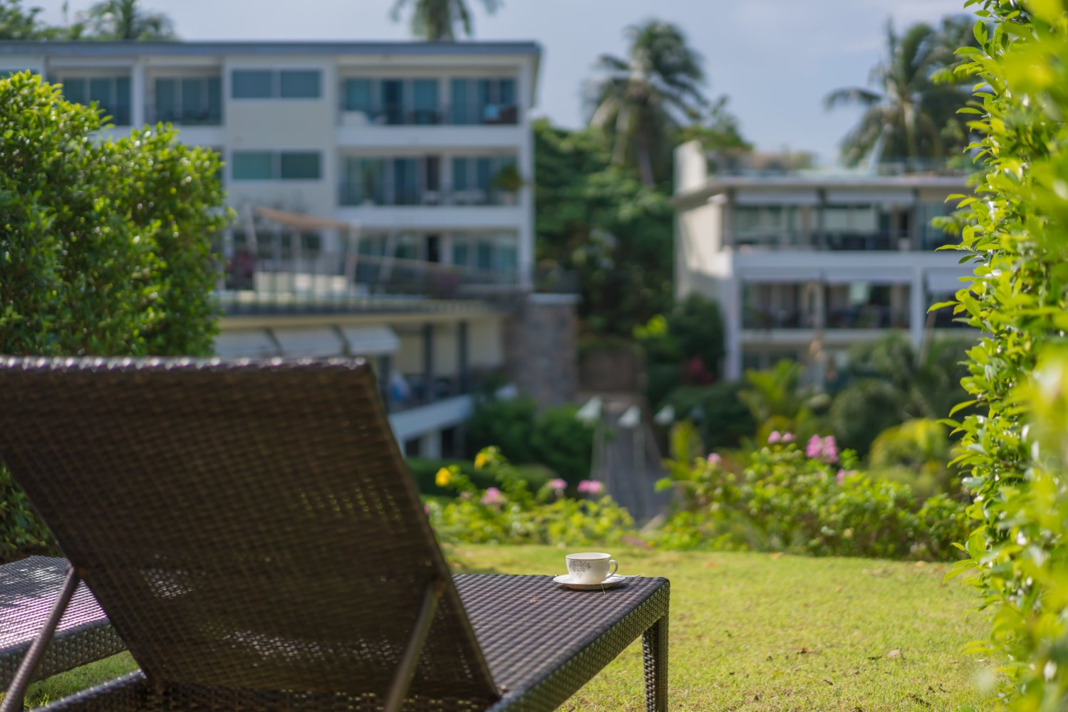 Property image - full photo 41