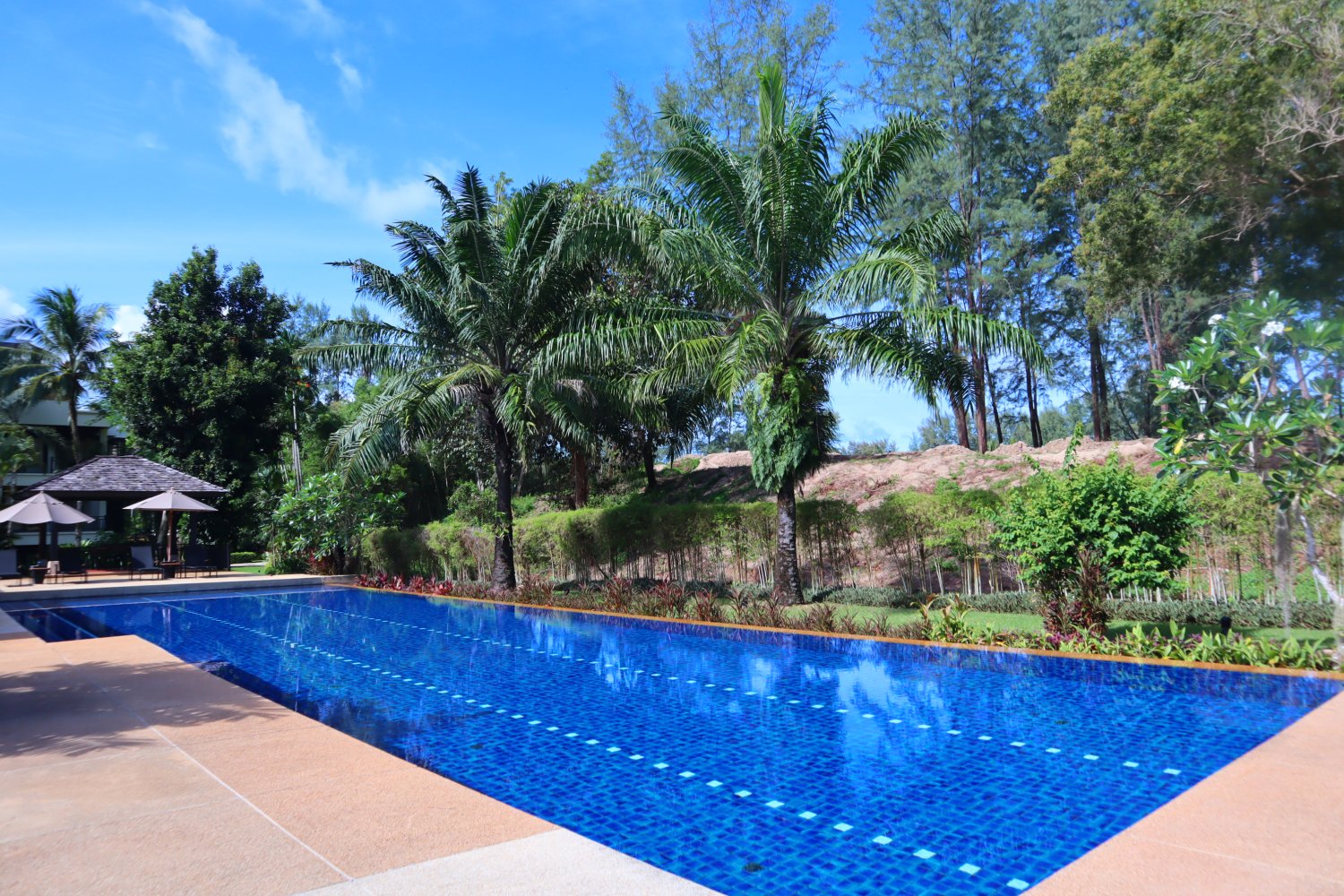 Property image - full photo 19