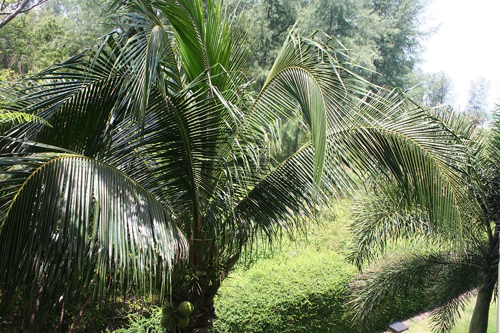 Property image - full photo 23