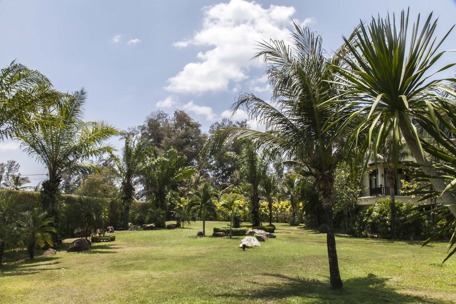 Property image - full photo 4