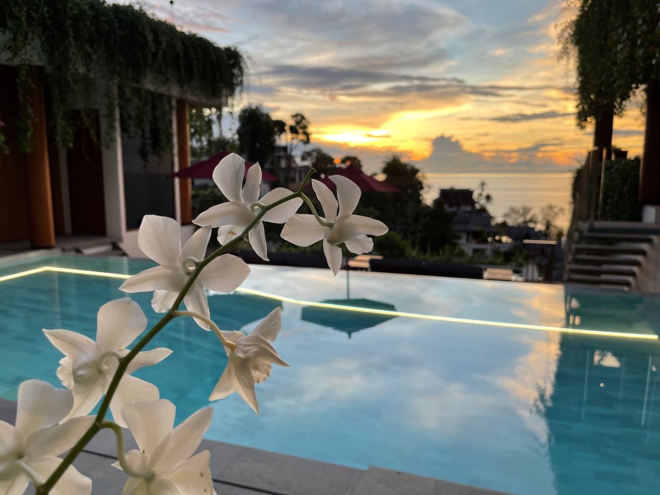Property image - full photo 15