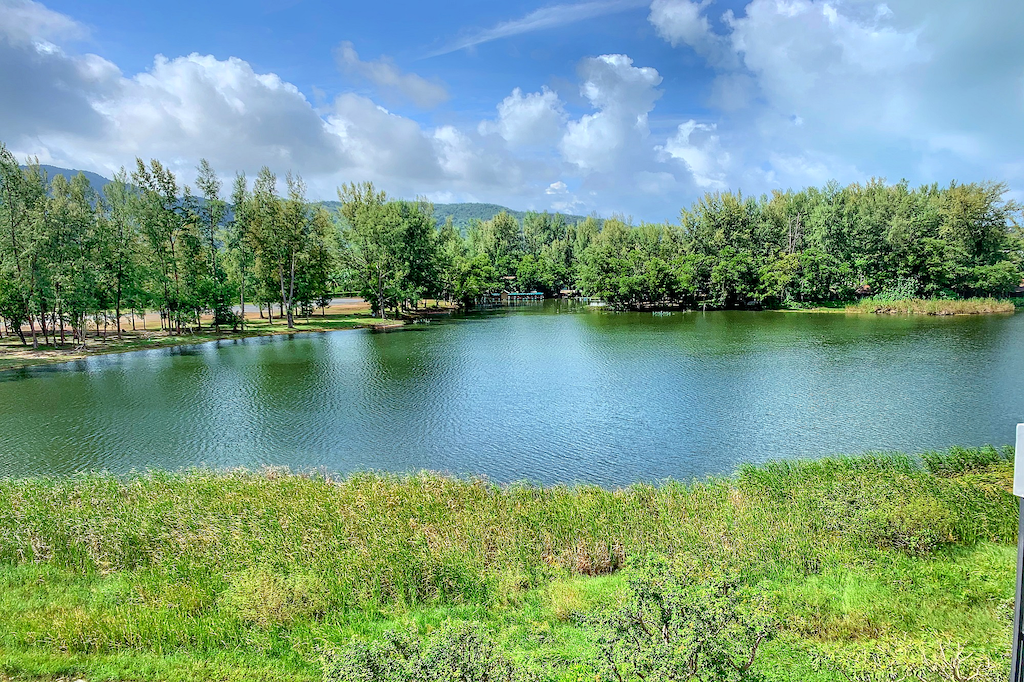 Property image - full photo 16
