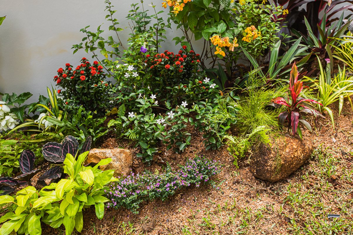 Property image - full photo 16