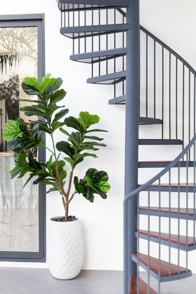 Property image - full photo 11