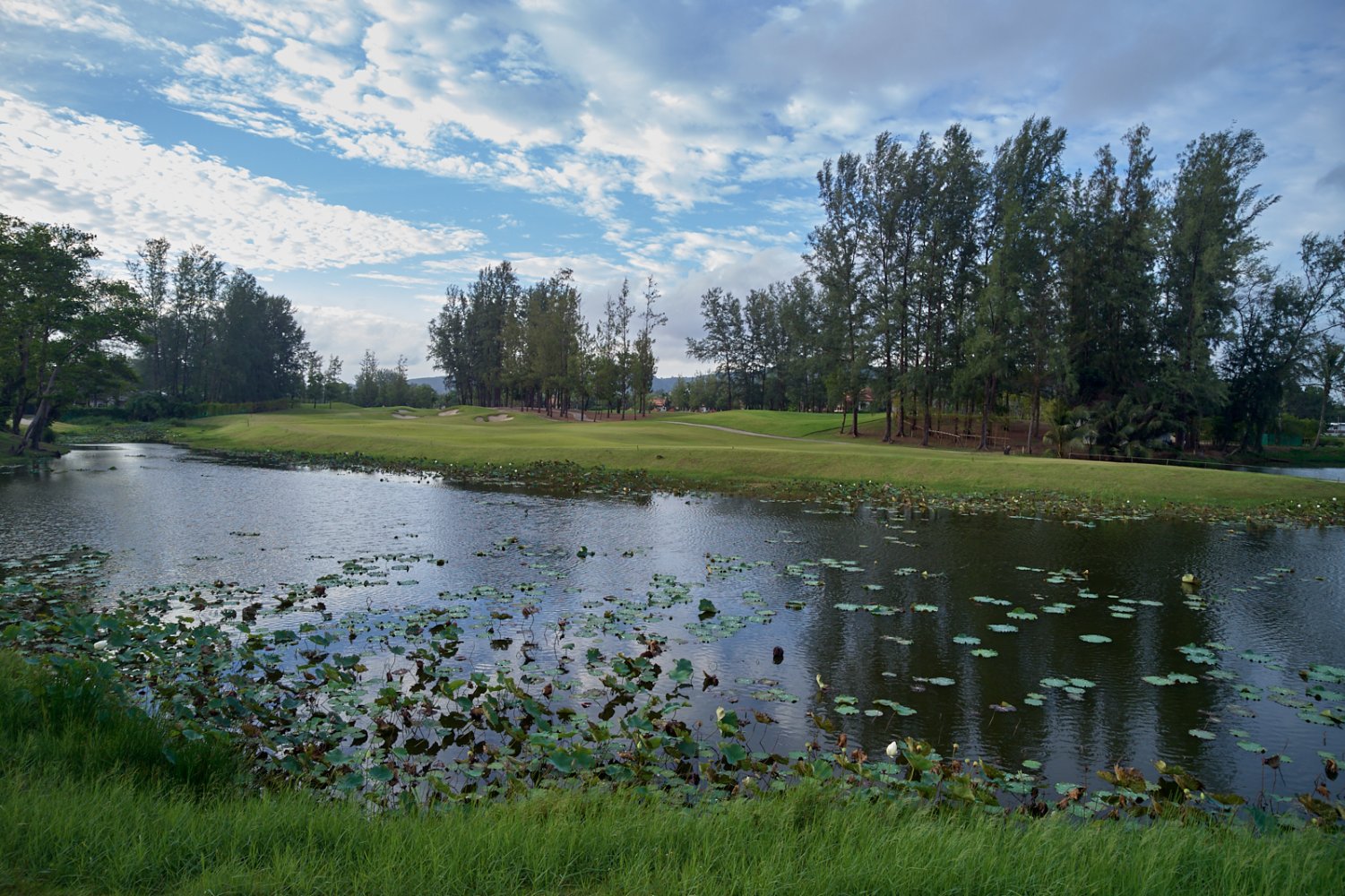 Property image - full photo 97