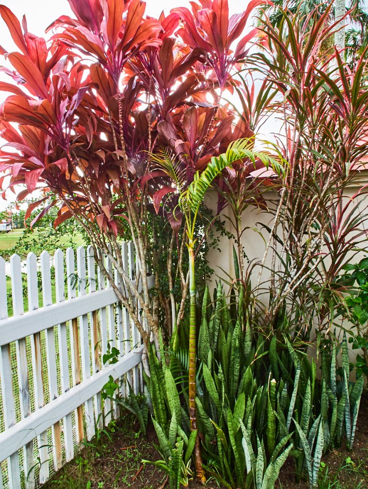 Property image - full photo 93