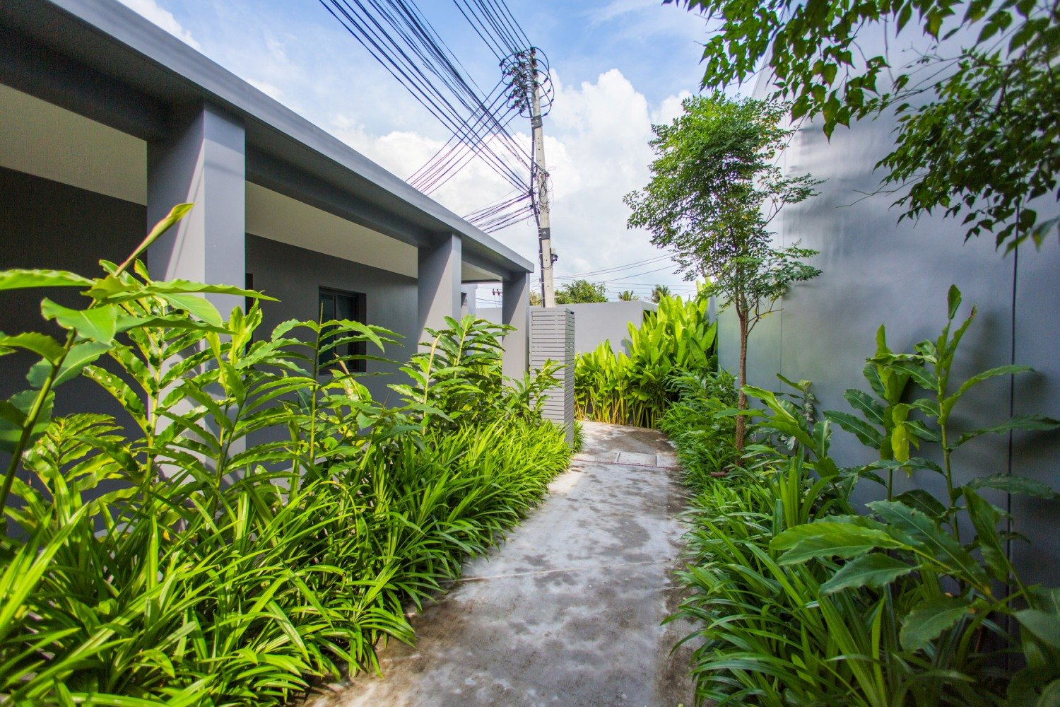 Property image - full photo 19