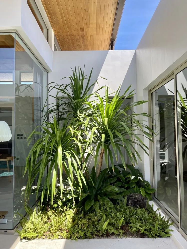 Property image - full photo 6