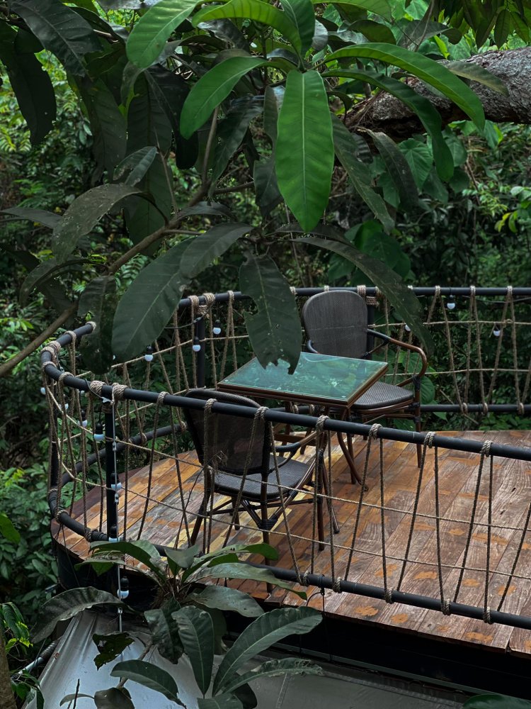 Property image - full photo 25