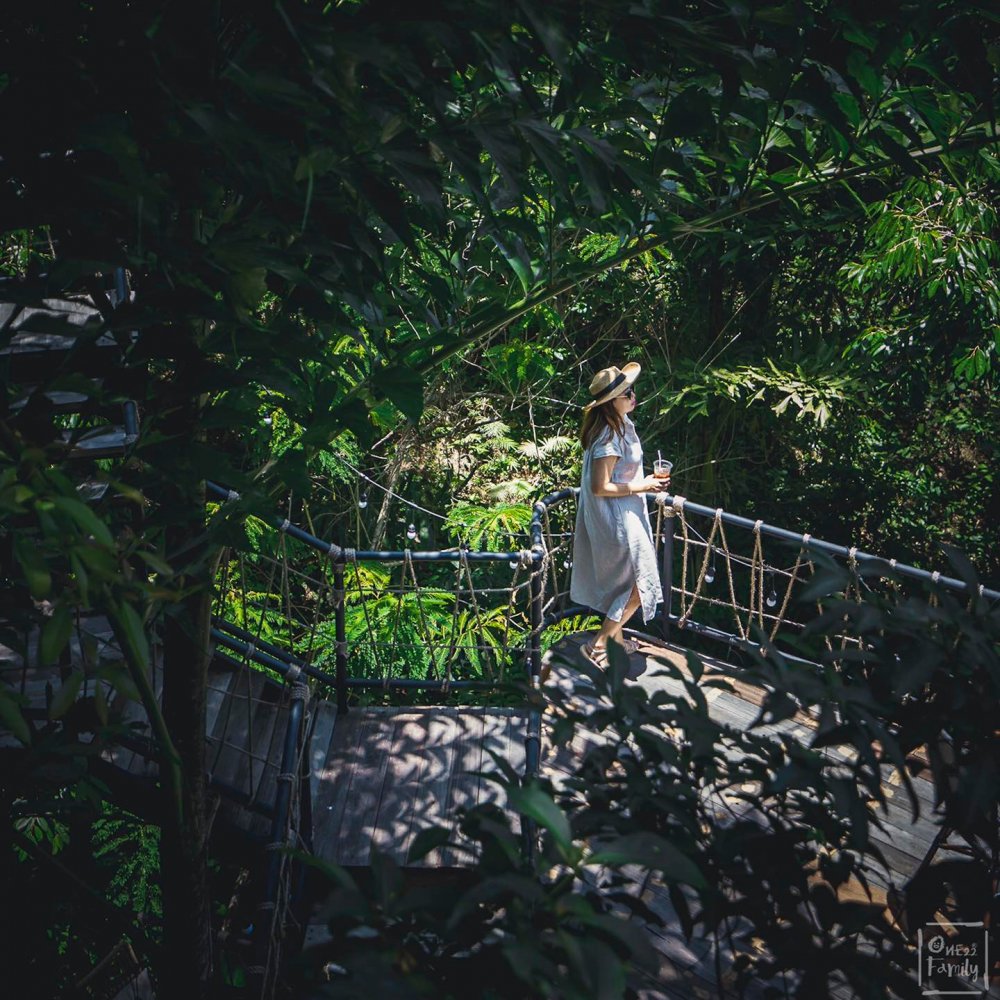 Property image - full photo 49