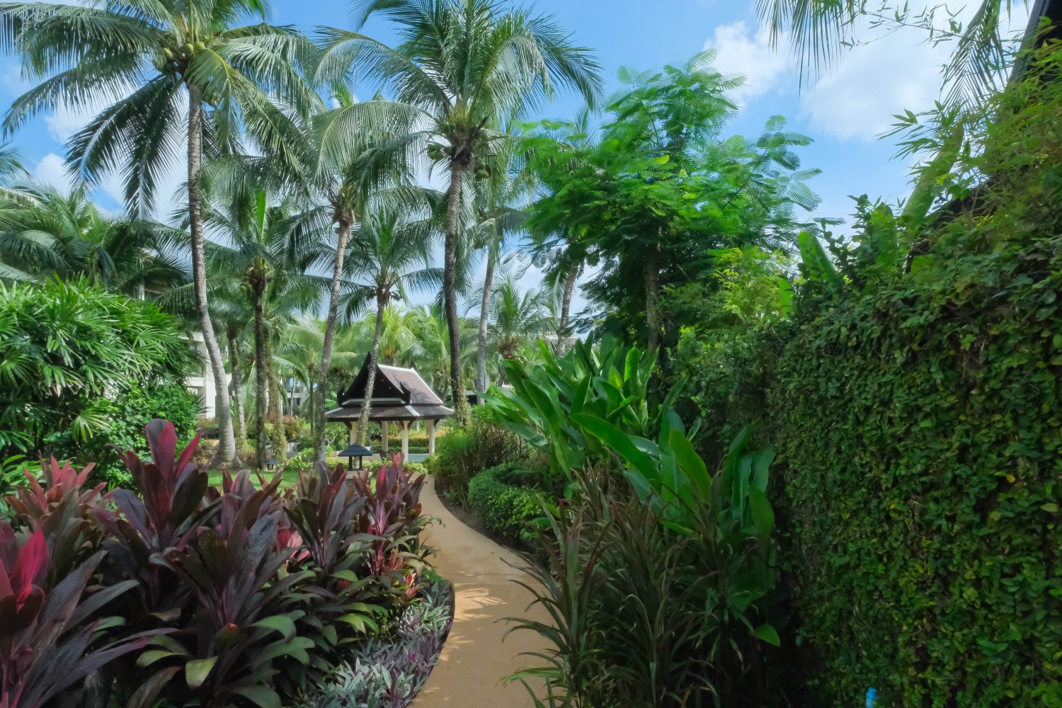 Property image - full photo 20