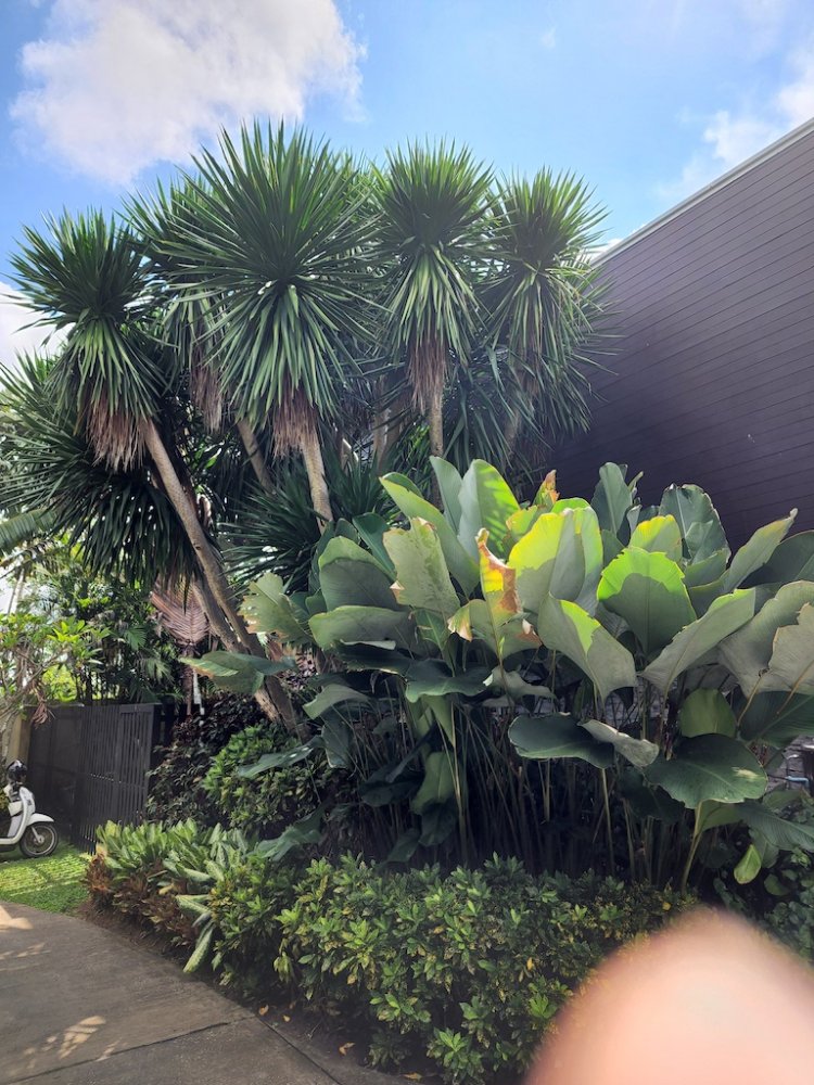 Property image - full photo 45