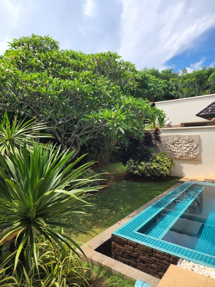 Property image - full photo 39