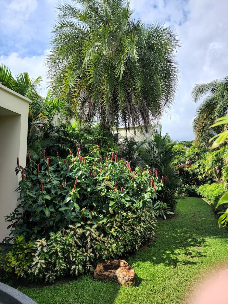 Property image - full photo 48