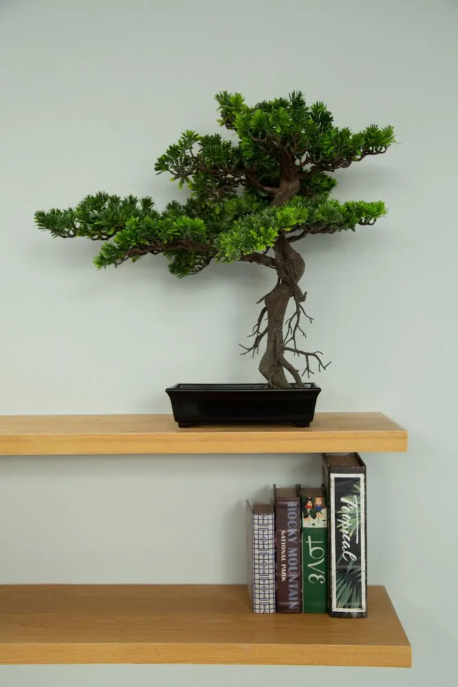 Property image - full photo 20