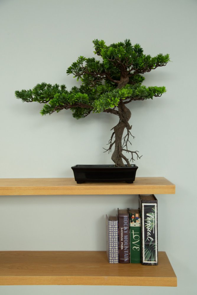 Property image - full photo 24