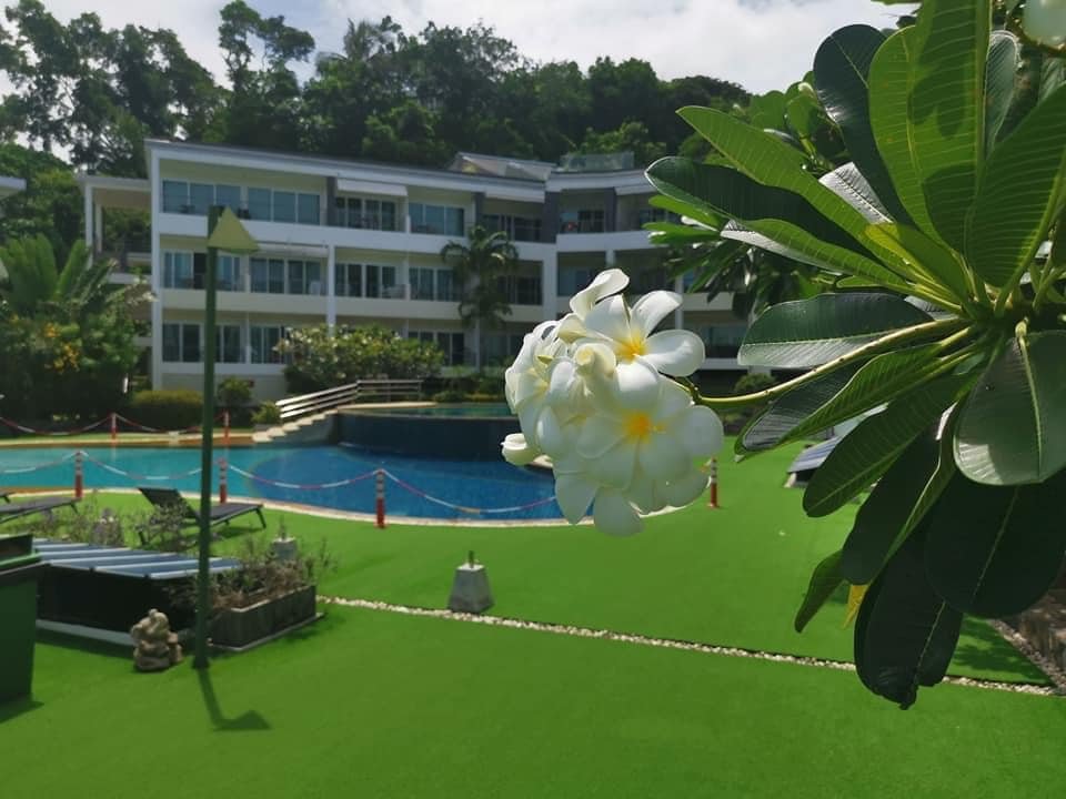 Property image - full photo 2