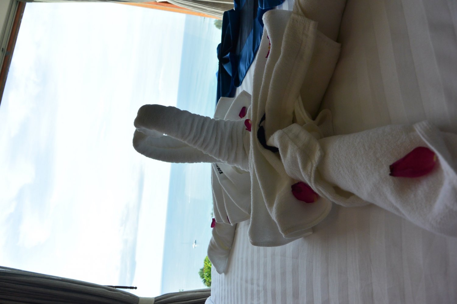 Property image - full photo 61