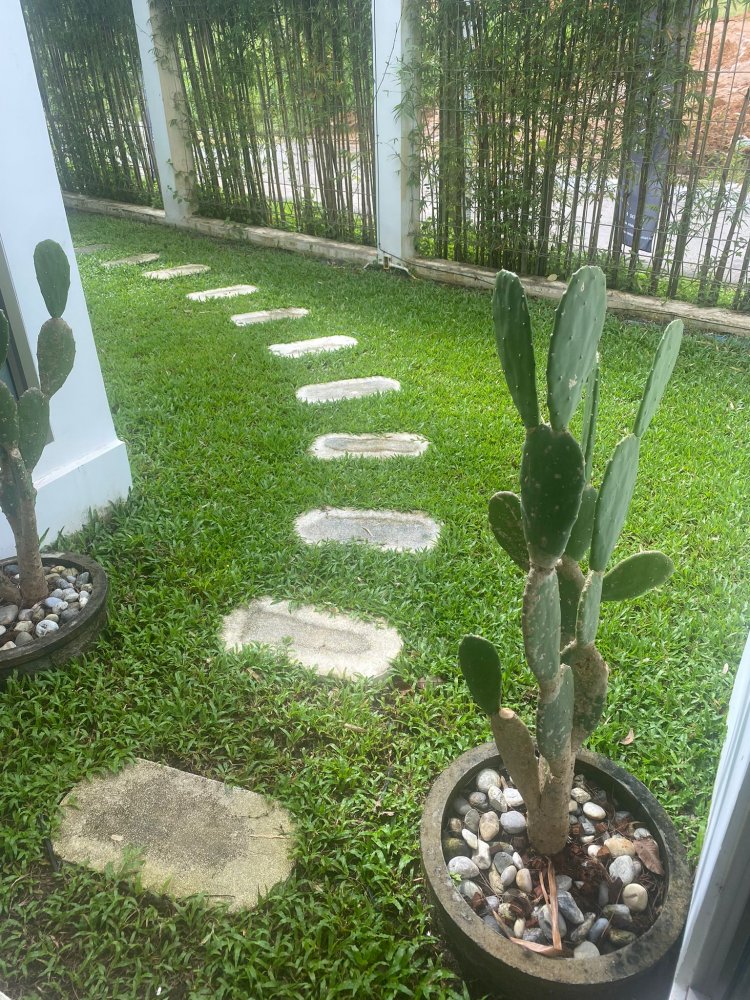 Property image - full photo 9