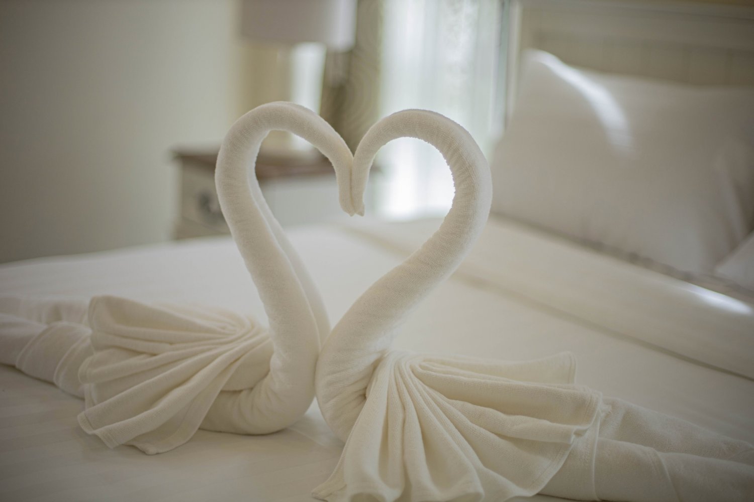 Property image - full photo 8