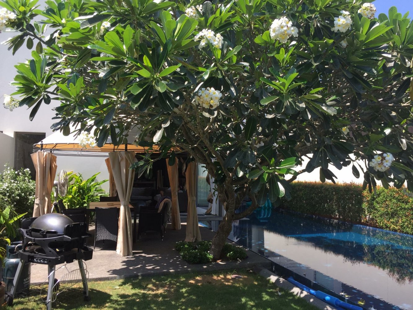 Property image - full photo 11