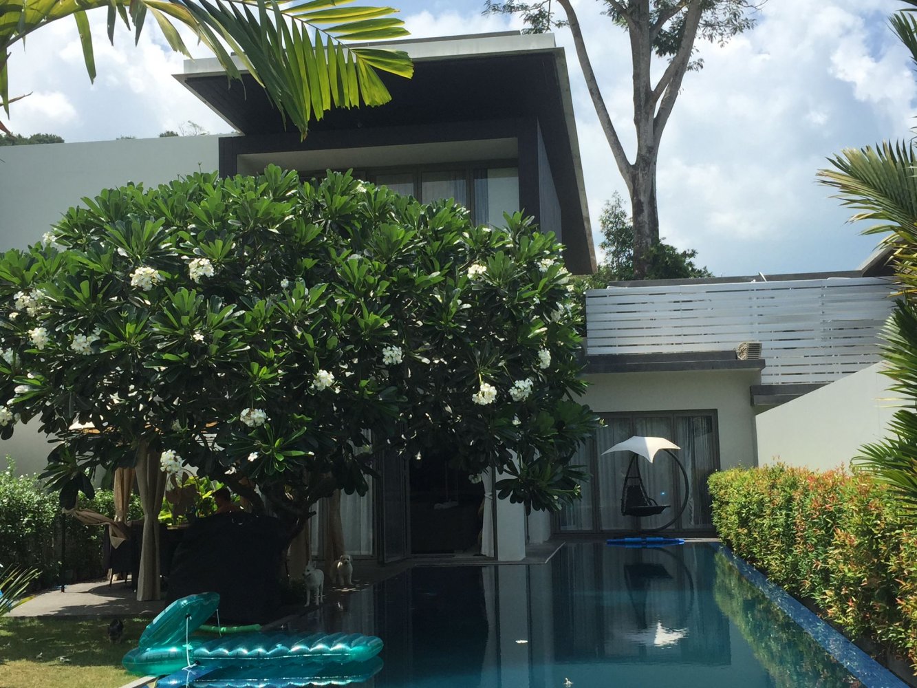 Property image - full photo 16