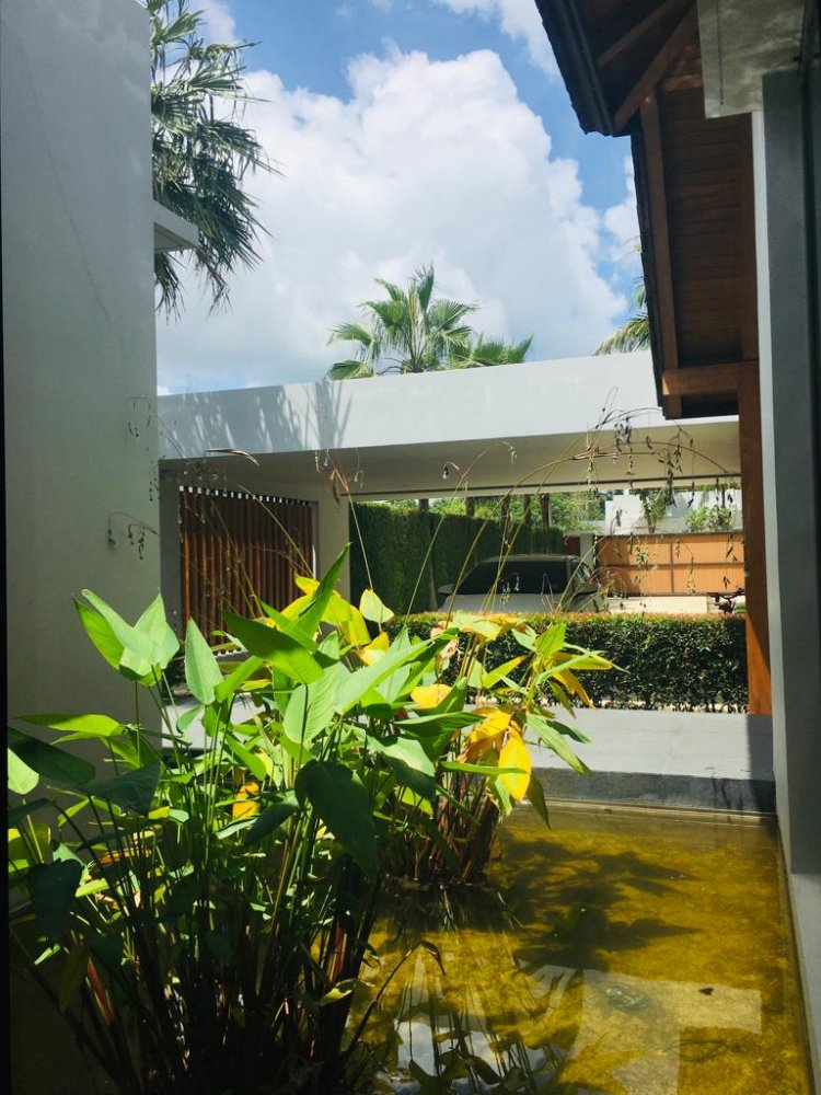 Property image - full photo 3