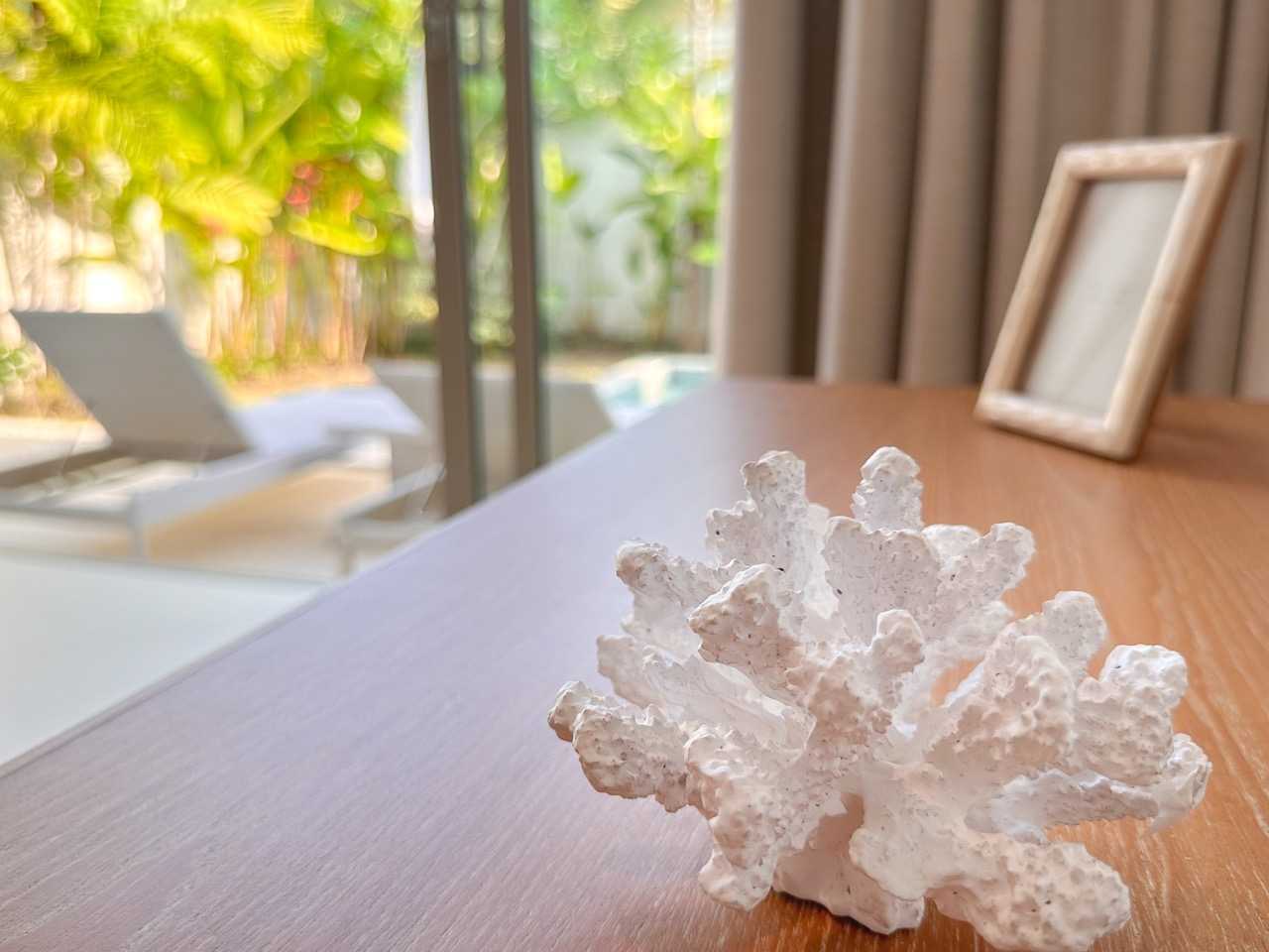 Property image - full photo 5
