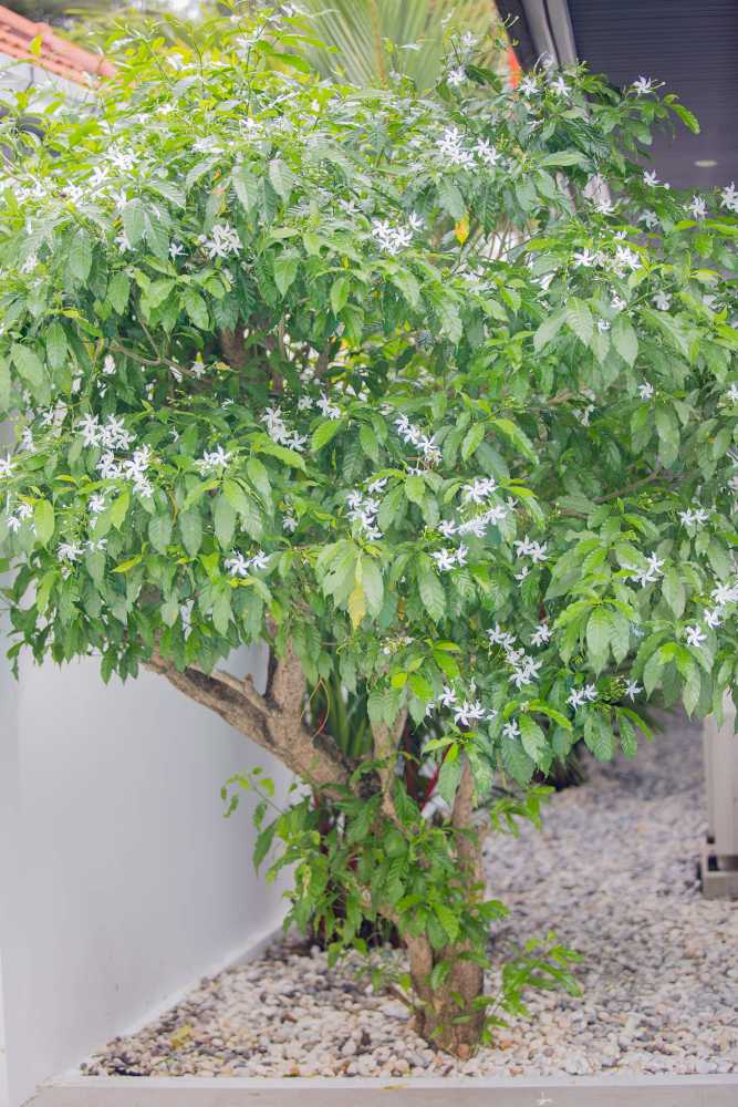 Property image - full photo 55