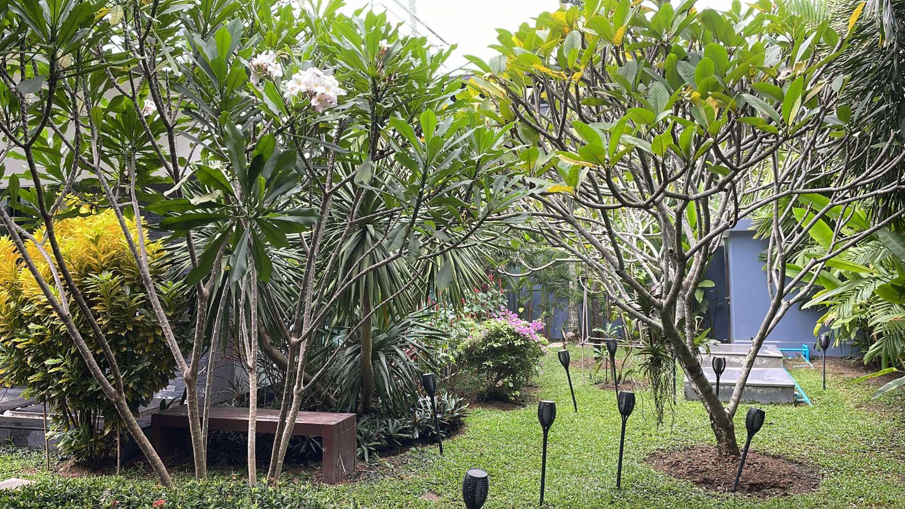 Property image - full photo 6