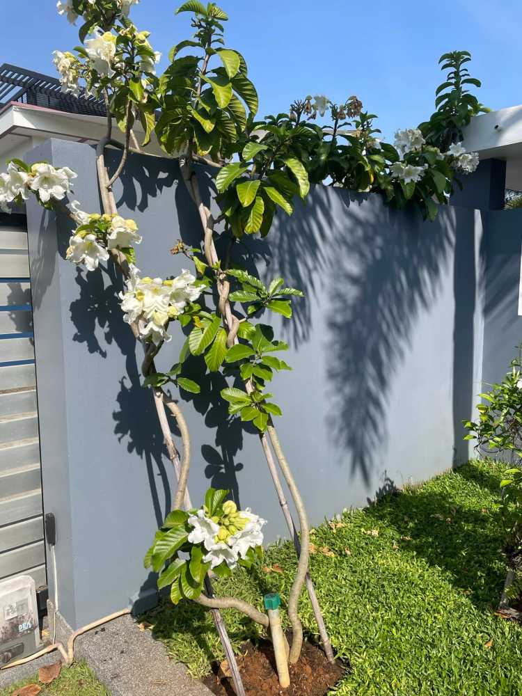 Property image - full photo 25