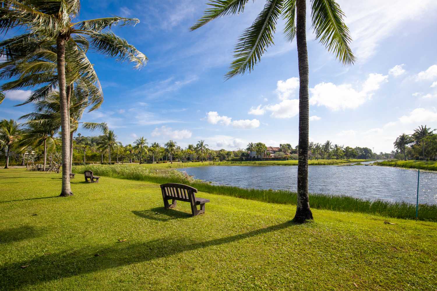 Property image - full photo 14