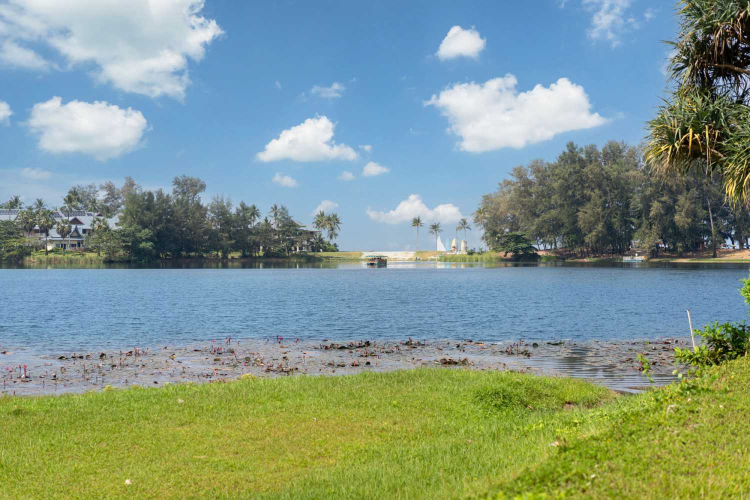 Property image - full photo 48