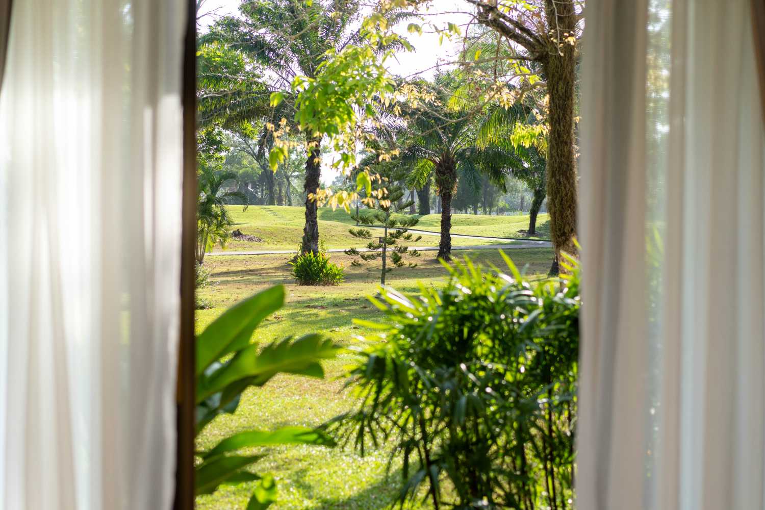 Property image - full photo 4