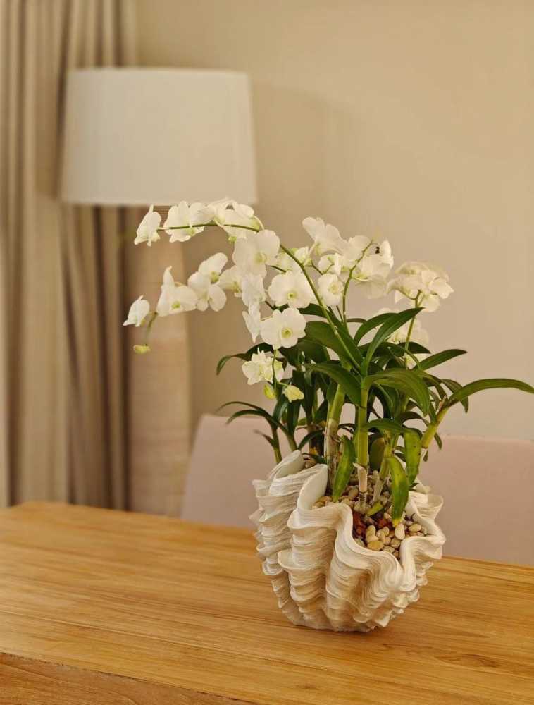 Property image - full photo 20
