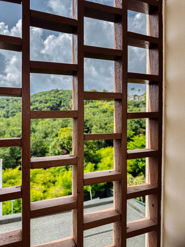 Property image - full photo 66