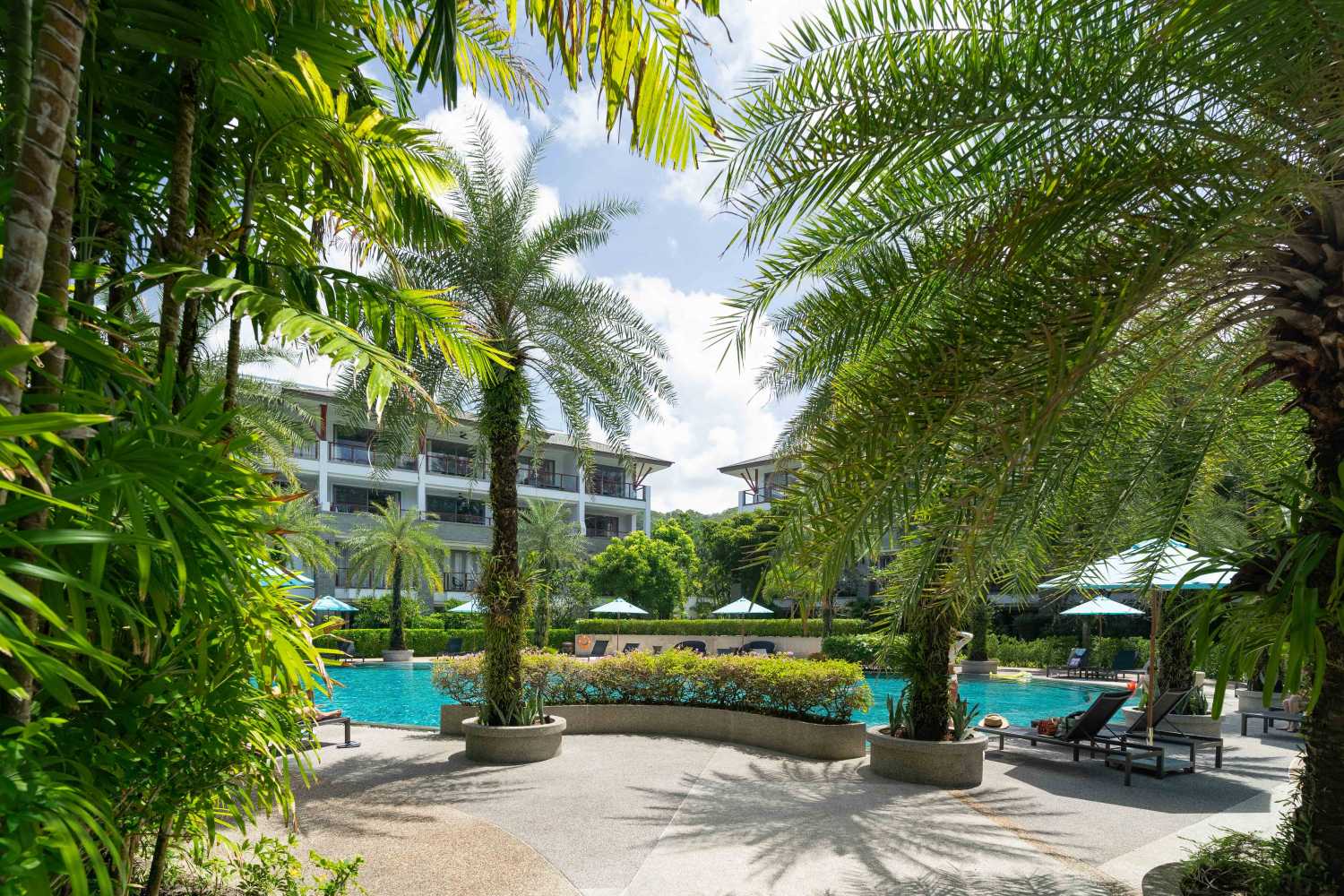 Property image - full photo 19