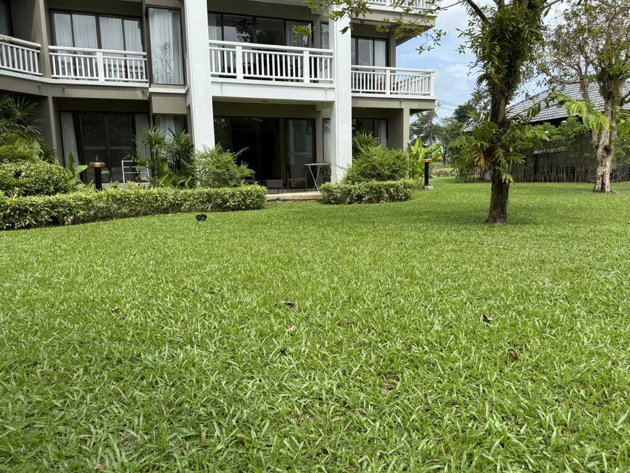 Property image - full photo 11
