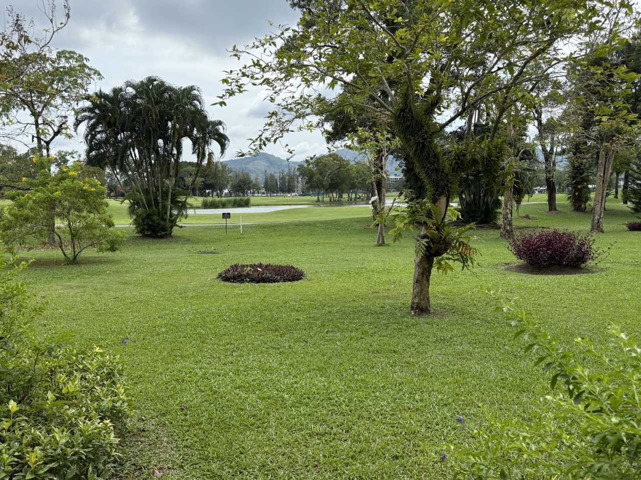 Property image - full photo 12