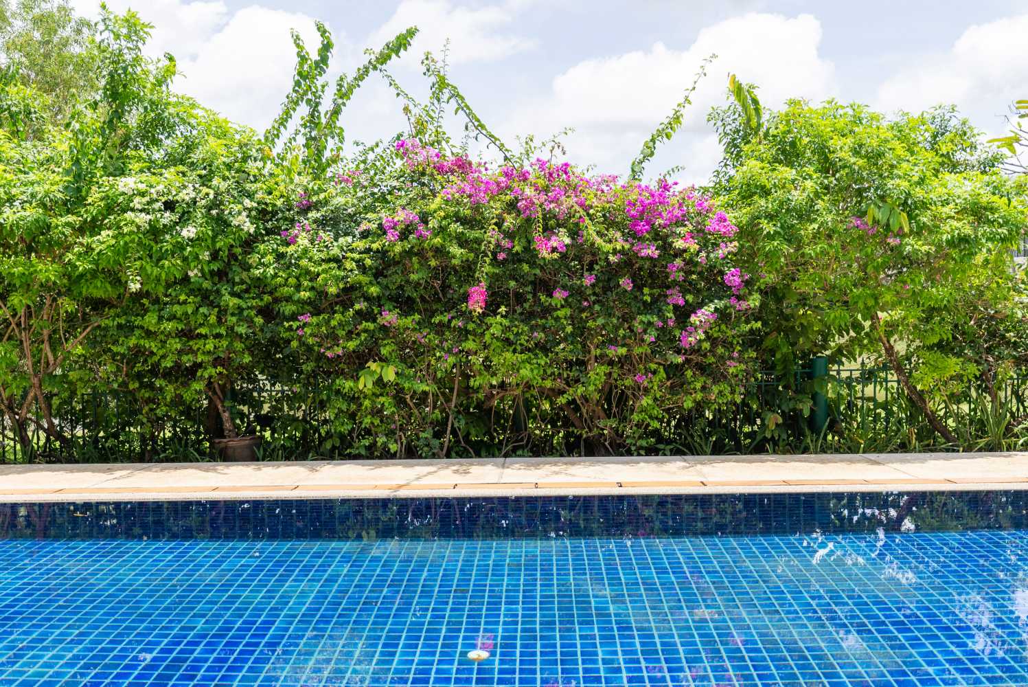 Property image - full photo 26