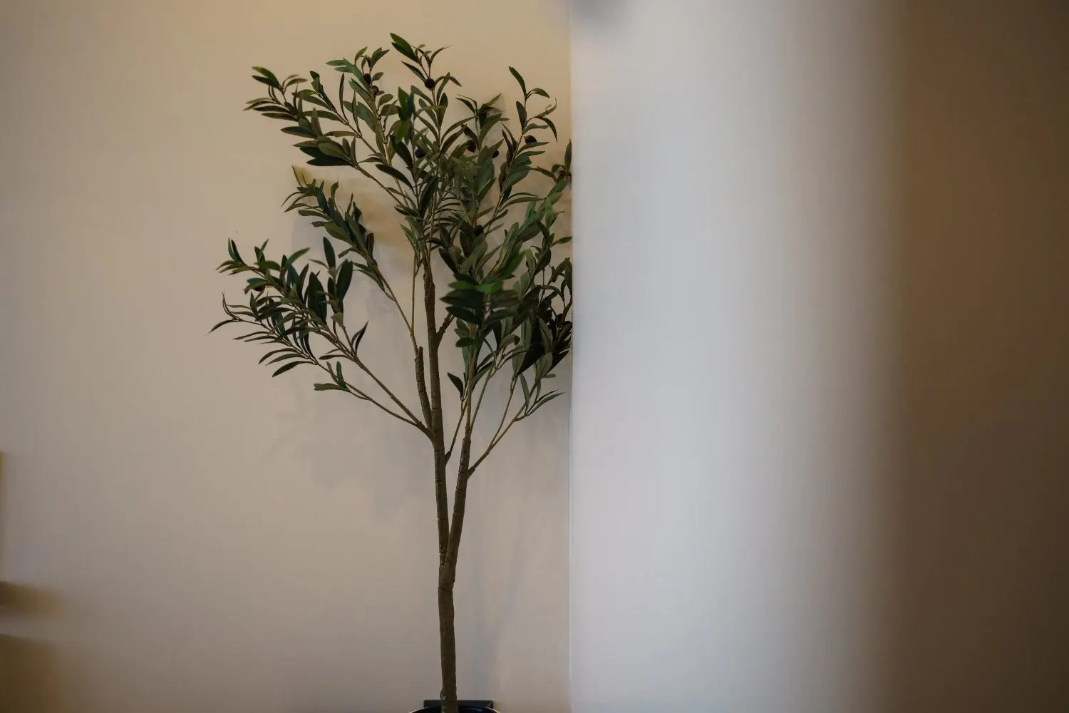 Property image - full photo 17