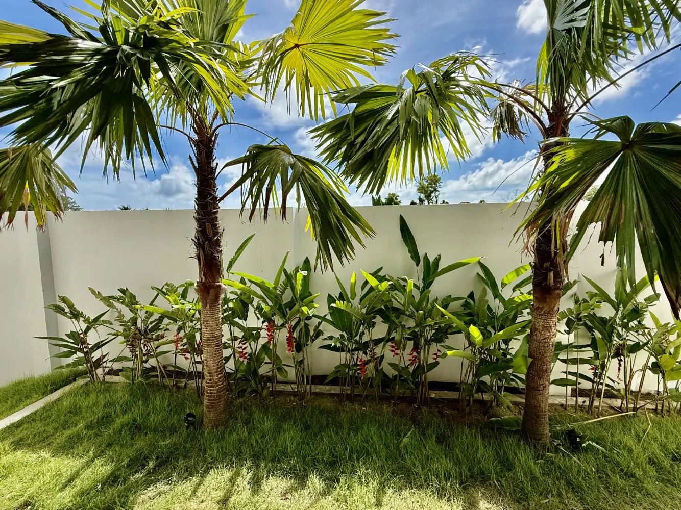 Property image - full photo 8