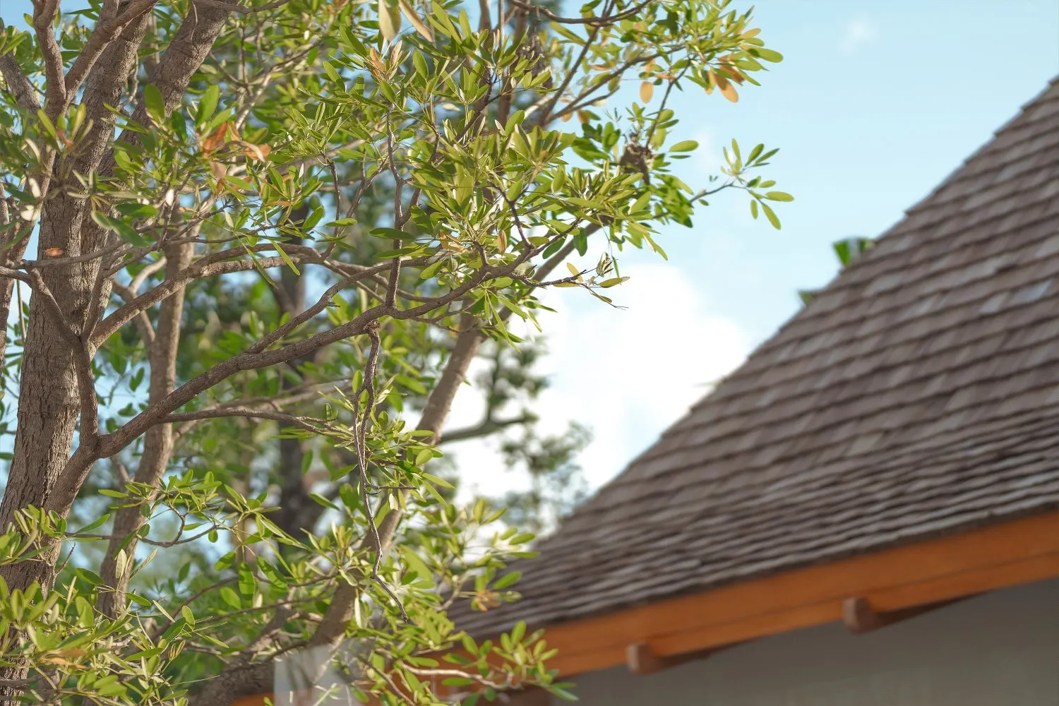 Property image - full photo 12