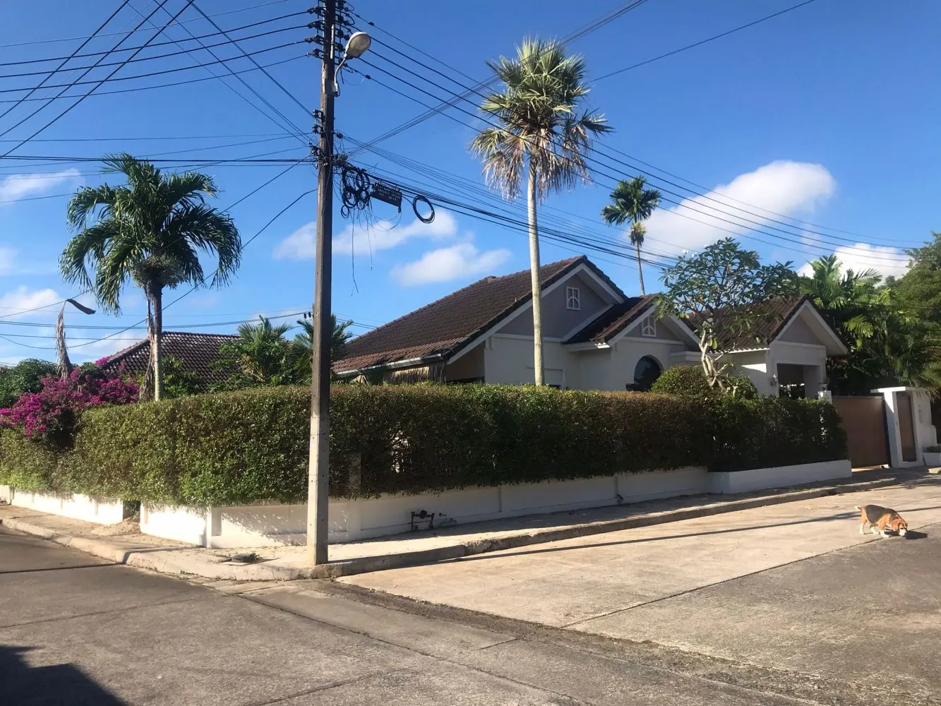 Property image - full photo 9