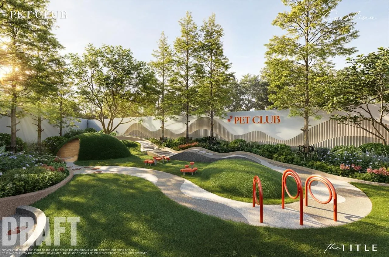 Property image - full photo 5