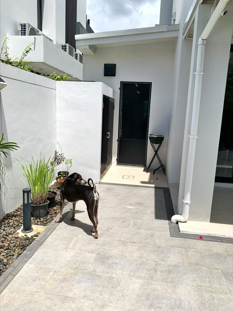 Property image - full photo 25