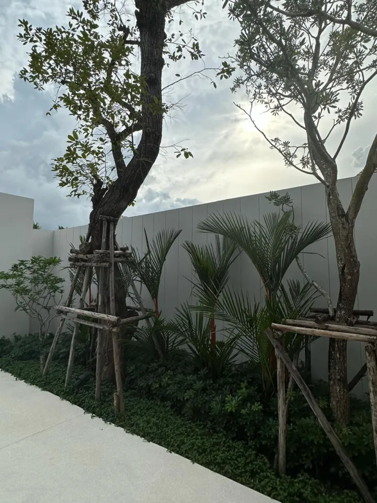 Property image - full photo 40
