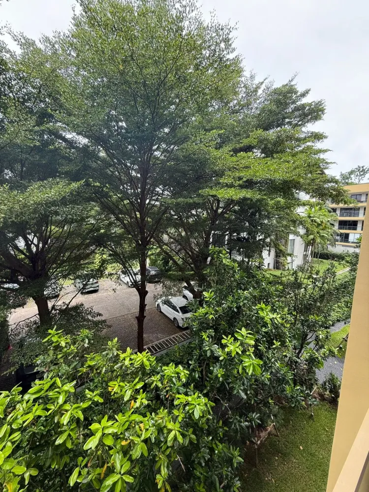 Property image - full photo 12