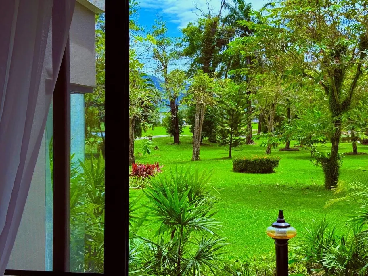 Property image - full photo 16