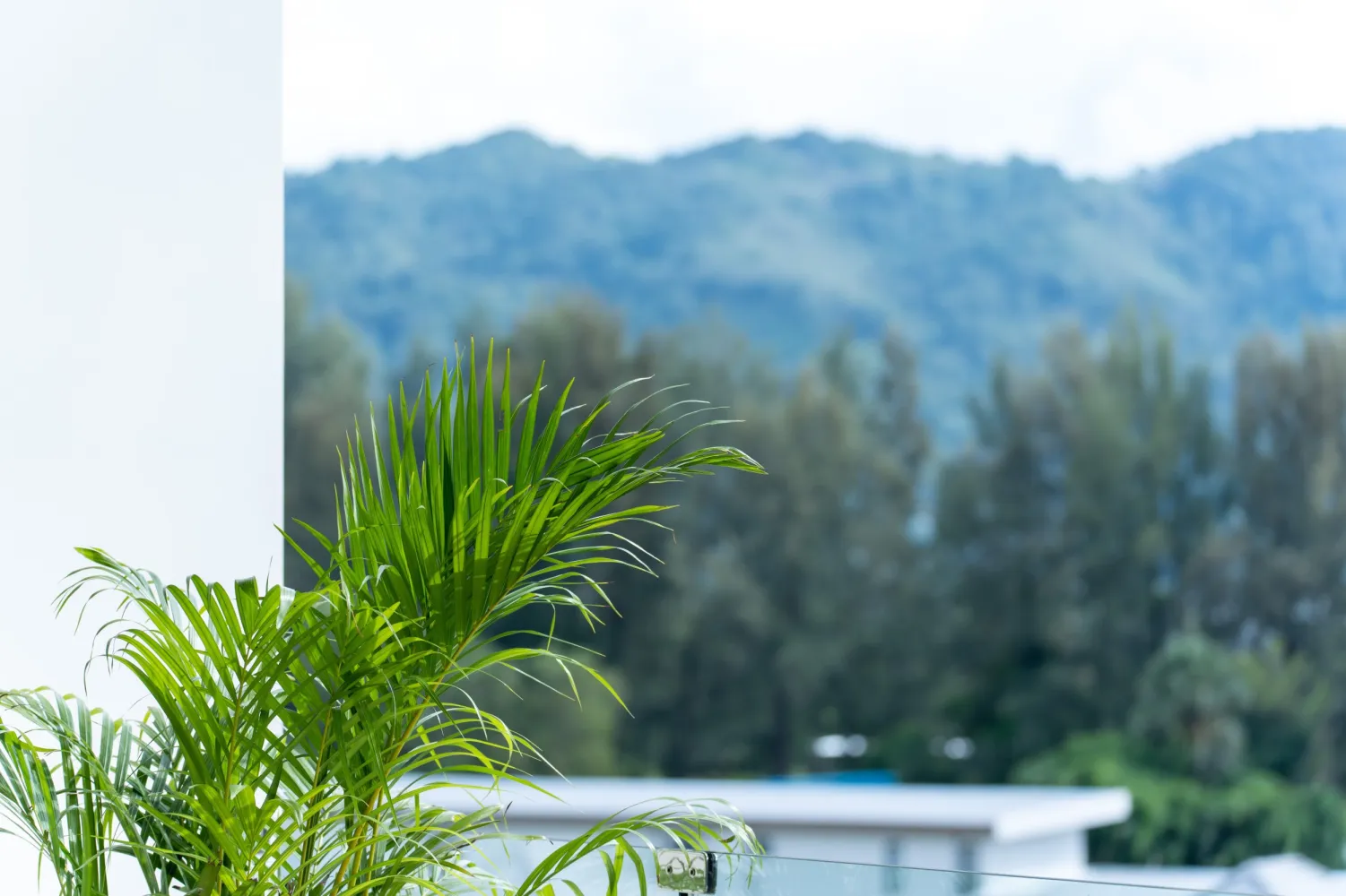 Property image - full photo 19